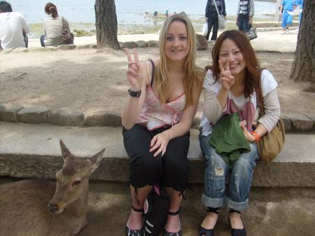 les daims de miyajima