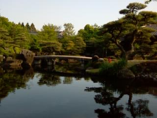 de jolis arbres se refletant sur l'eau