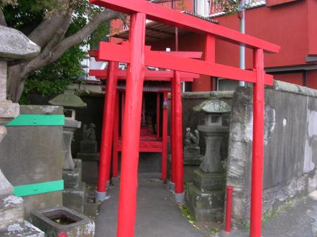 little tori in the street