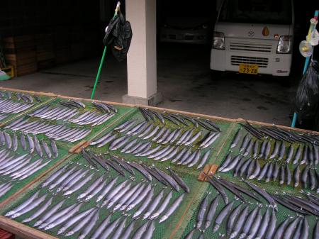 fish market in the street^^